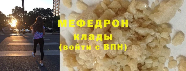 гидра Богданович