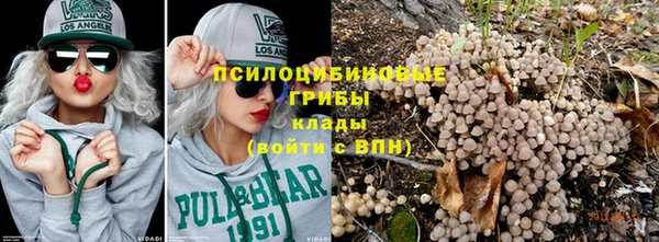 герыч Сосновый Бор
