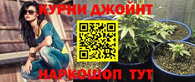 jwh Кимры