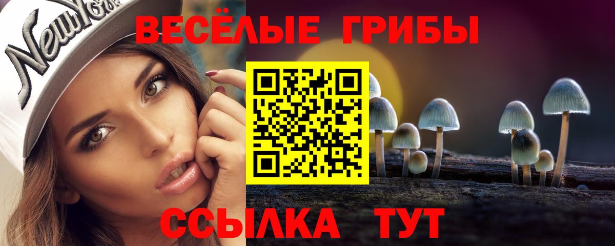 Псилоцибиновые грибы прущие грибы  Галлюциногенные грибы MAGIC MUSHROOMS  Валуйки 