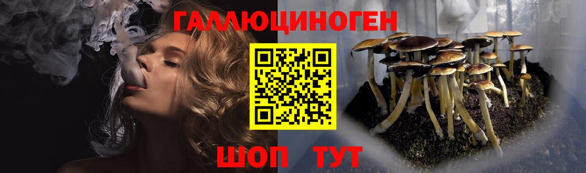 Галлюциногенные грибы MAGIC MUSHROOMS Валуйки