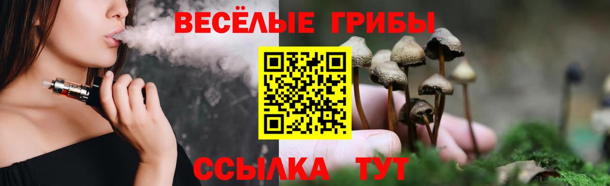 Валуйки  Псилоцибиновые грибы Psilocybine cubensis  Вход с VPN 