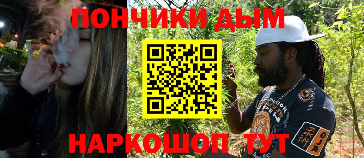 Конопля конопля  Марихуана MAZAR  Каннабис гибрид  Валуйки 